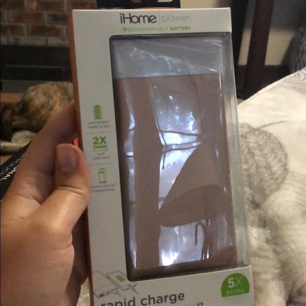 Rapid charger
